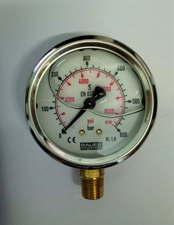 N16872 Pressure Gauge, 0-600 bar