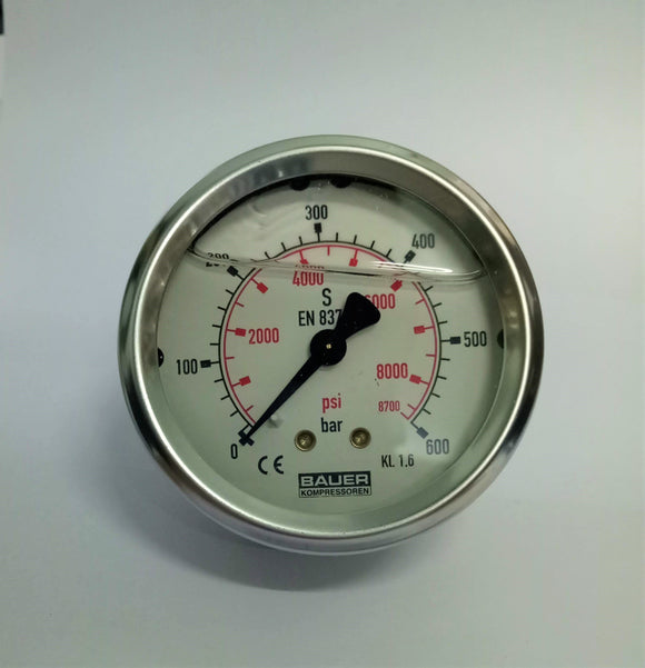 N17062 Pressure Gauge, 0-600 bar